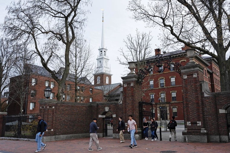 Harvard campus in spring, Alan Garber leadership